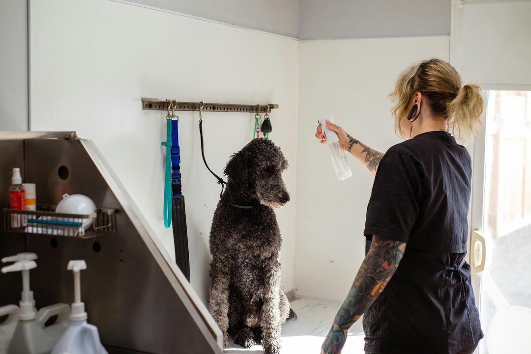 The Ultimate Guide to Pet Grooming: Tips for a Happy and Healthy Pet