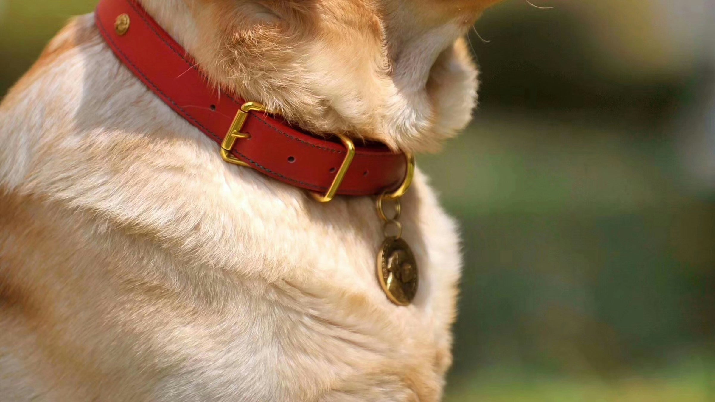 Collars