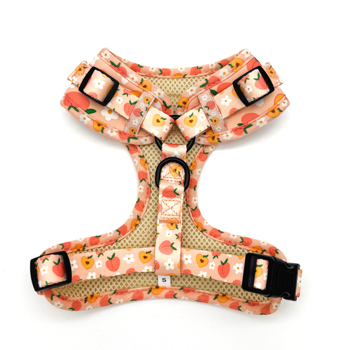 Peachy Bloom Harness
