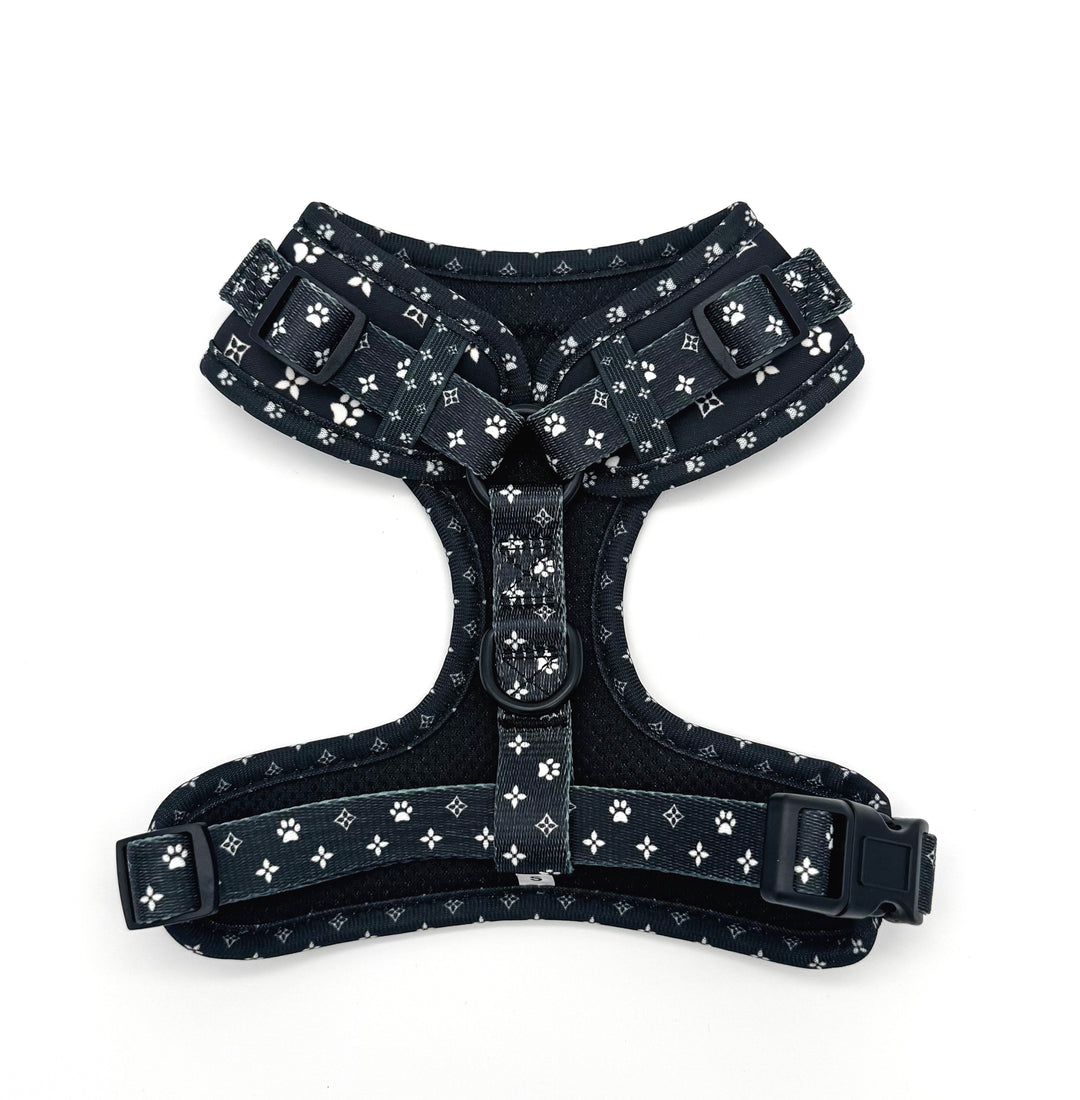 Black Diamond Harness