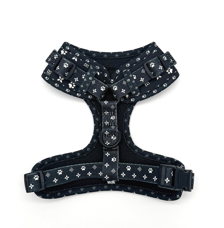 Black Diamond Harness