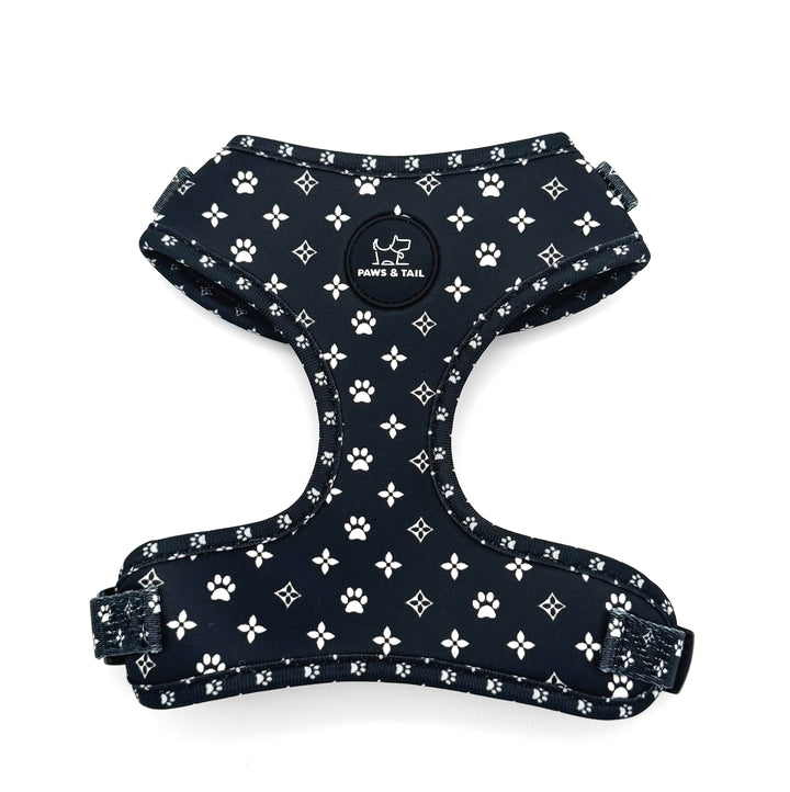 Black Diamond Harness