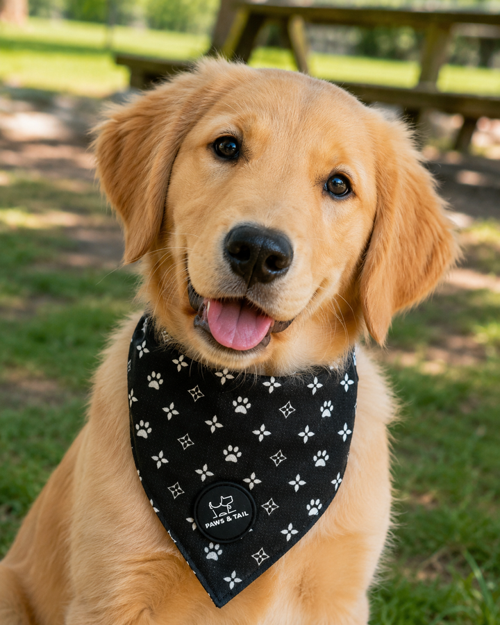 Black Diamond Bandana