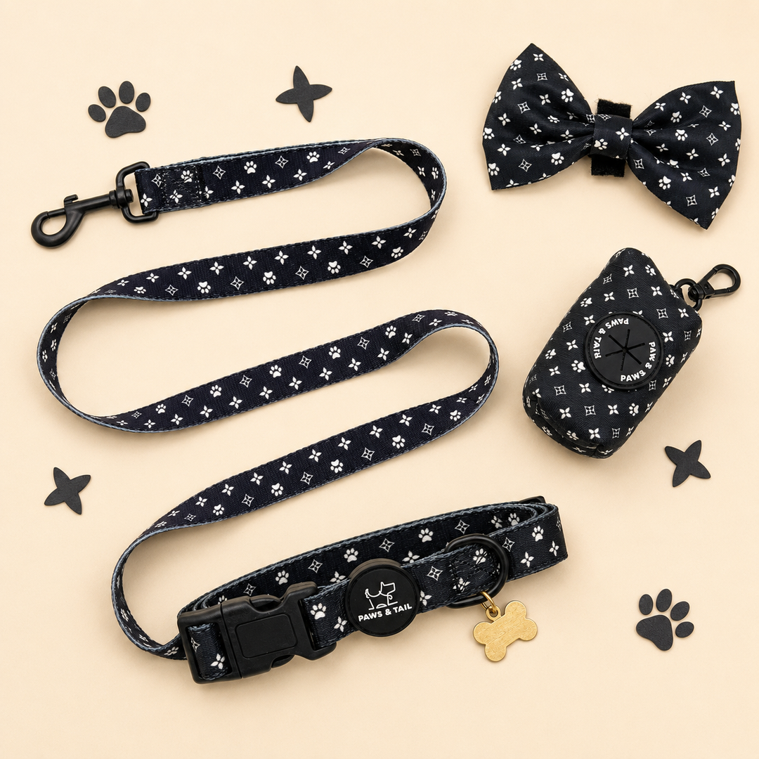 Black Diamond Collar Set