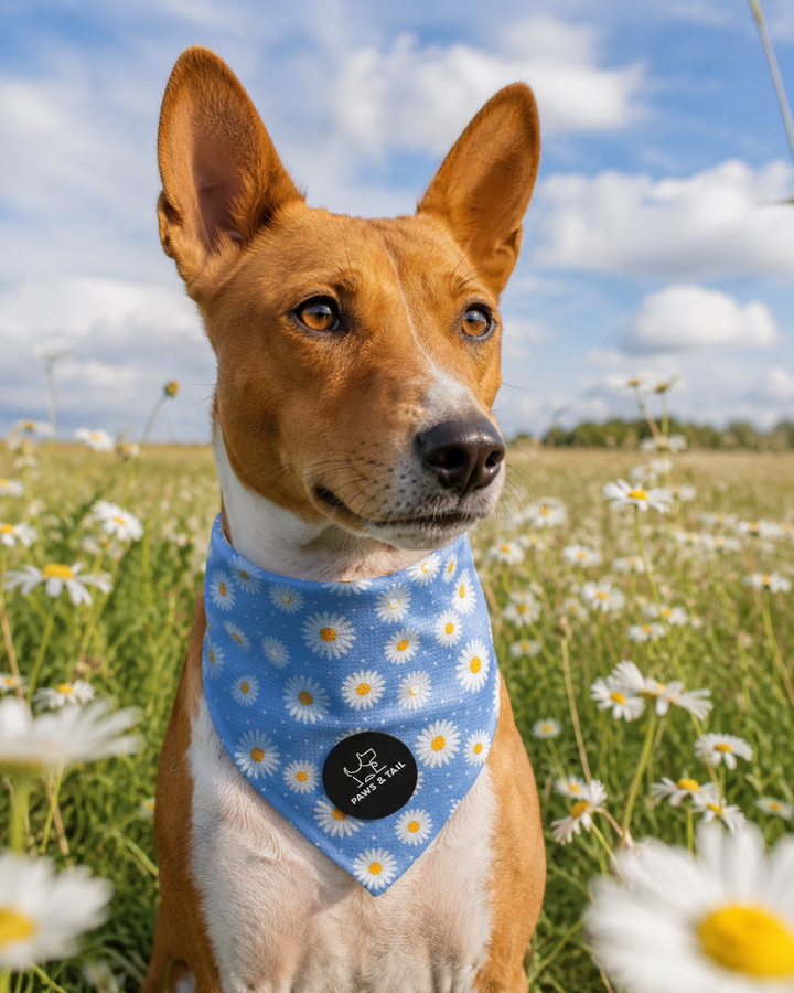 Daisy Daze Bandana
