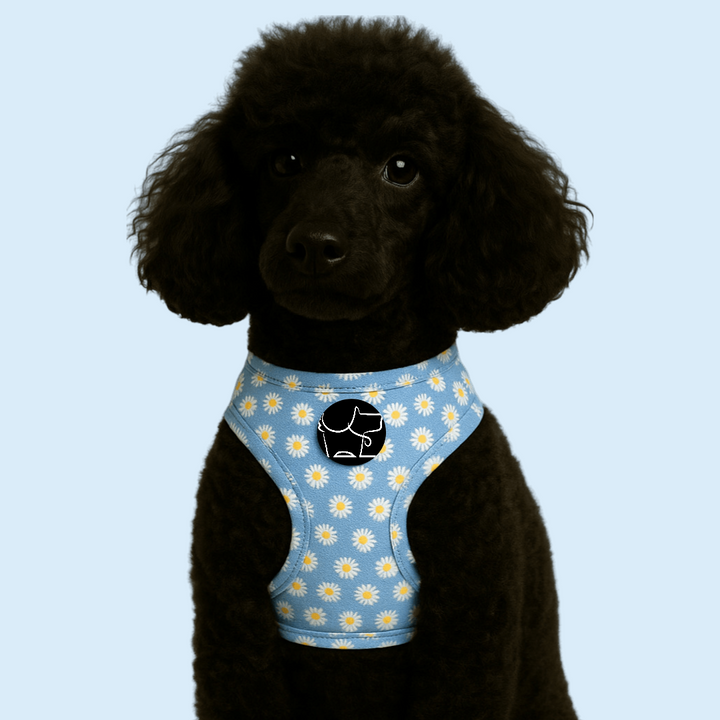 Daisy Daze Harness