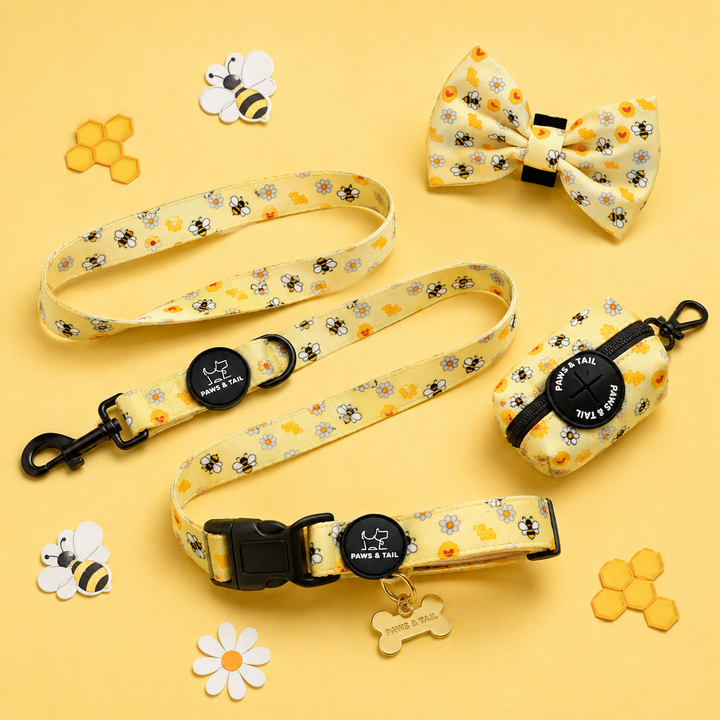 Bee Happy Collar Set