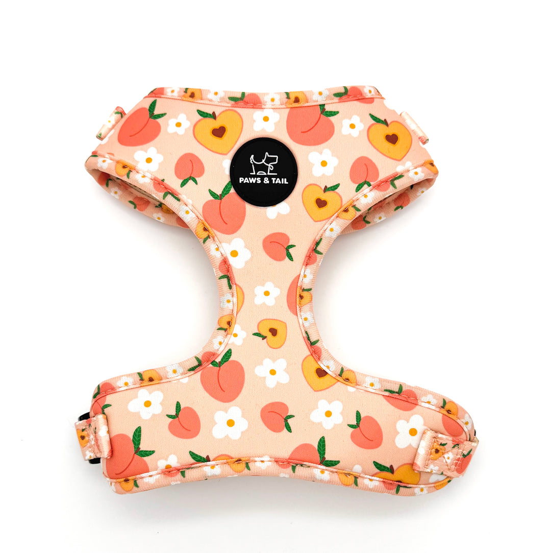 Peachy Bloom Harness Walk Set
