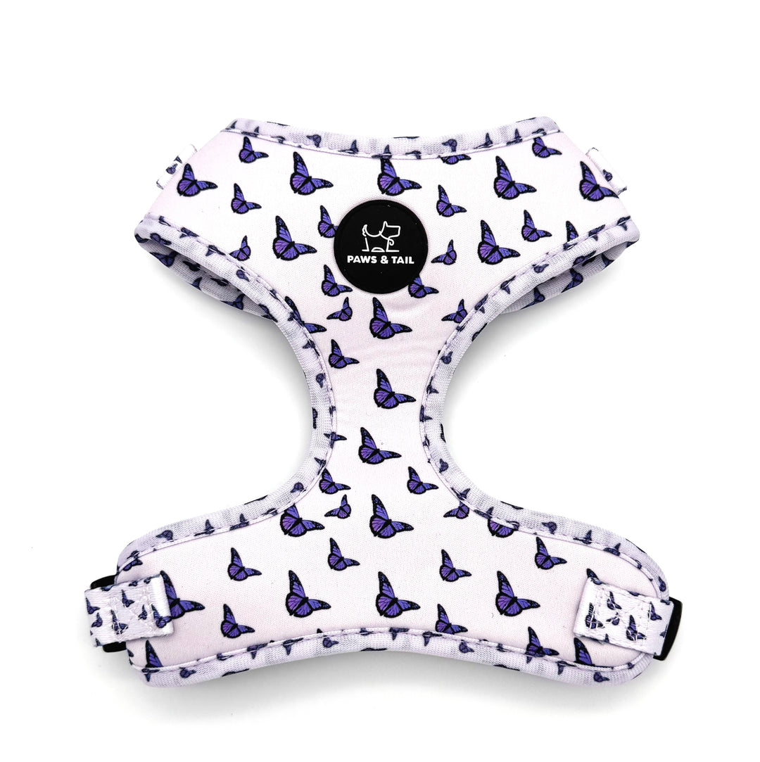 Violet Wings Harness Walk Set