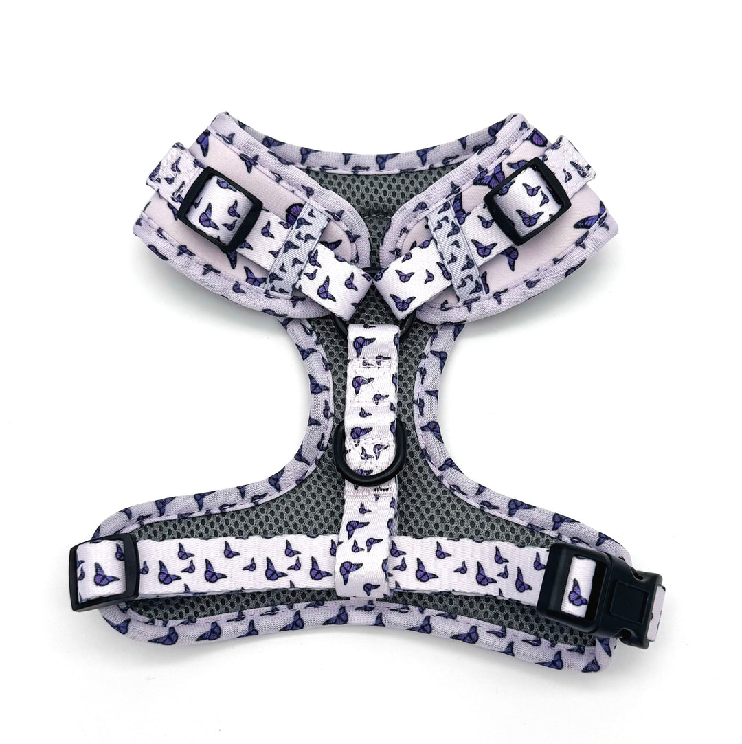 Violet Wings Harness Walk Set