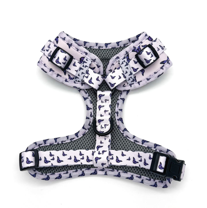 Violet Wings Harness Walk Set
