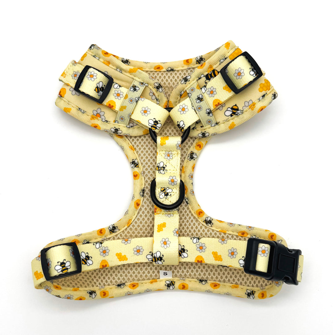 Bee Happy Harness Walk Set