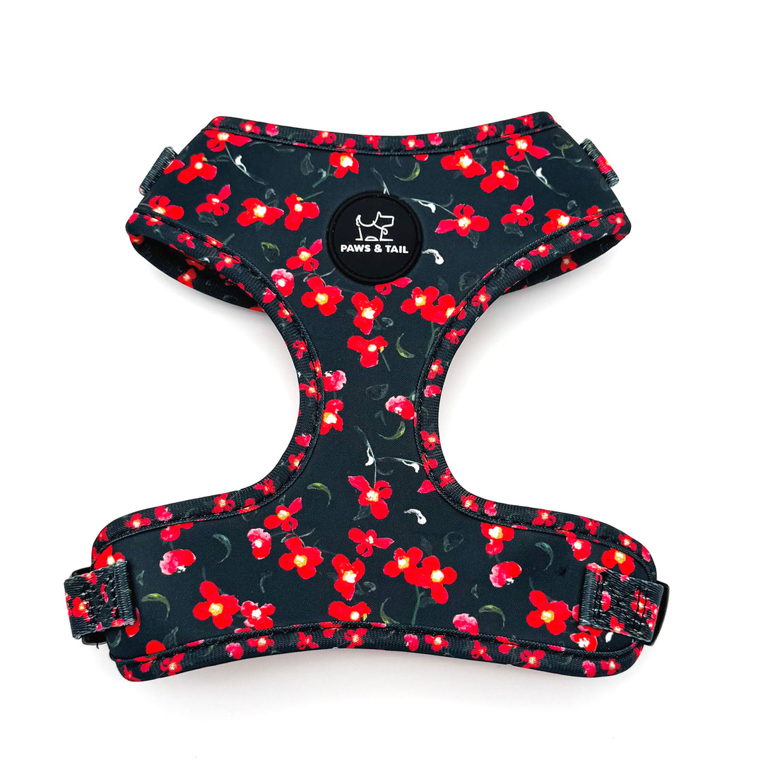 Rosé Reverie Harness Walk Set