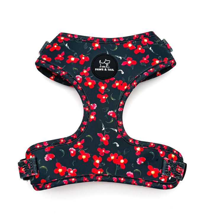 Rosé Reverie Harness Walk Set