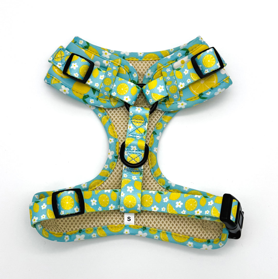 Sunny Citrus Bloom Harness Walk Set