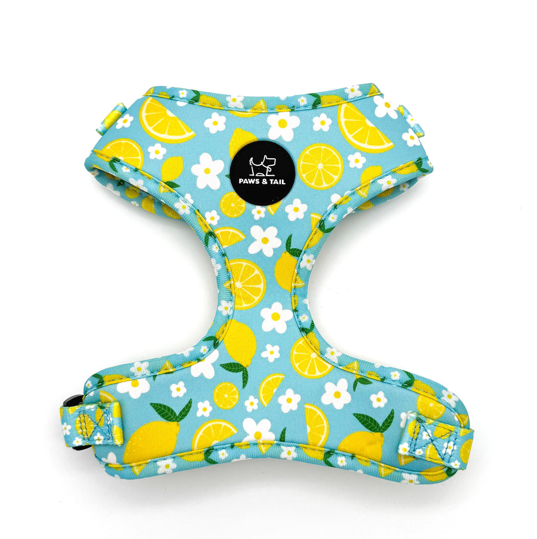Sunny Citrus Bloom Harness Walk Set