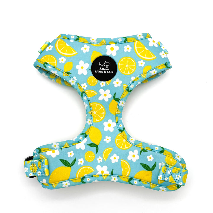 Sunny Citrus Bloom Harness Walk Set