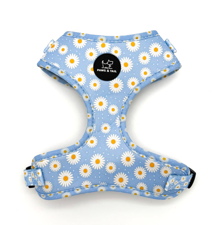 Daisy Daze Harness Walk Set