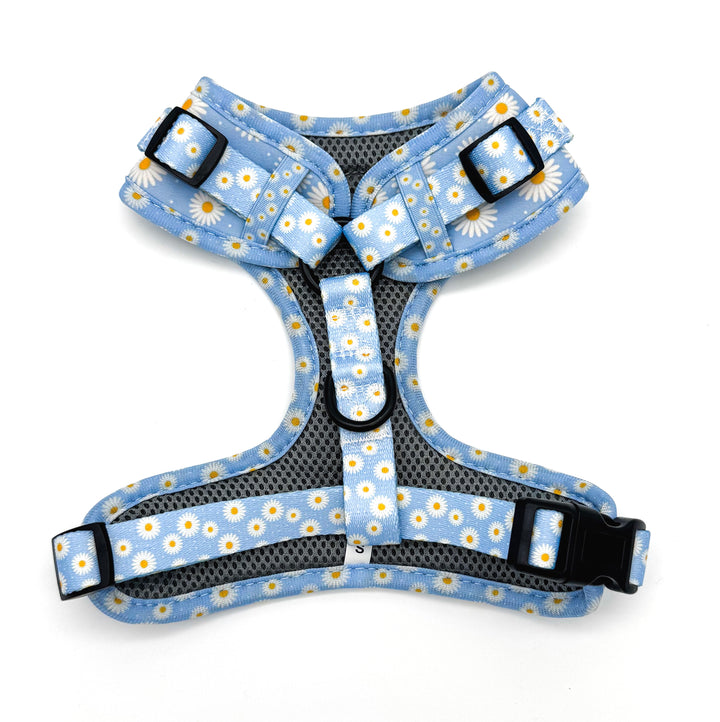 Daisy Daze Harness Walk Set