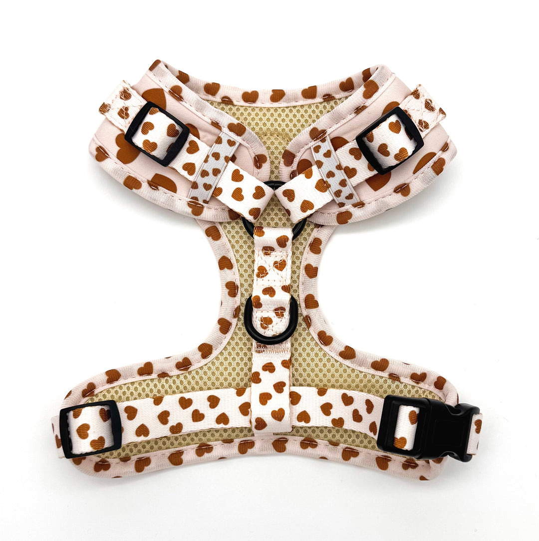 Woof You Harness Walk Set
