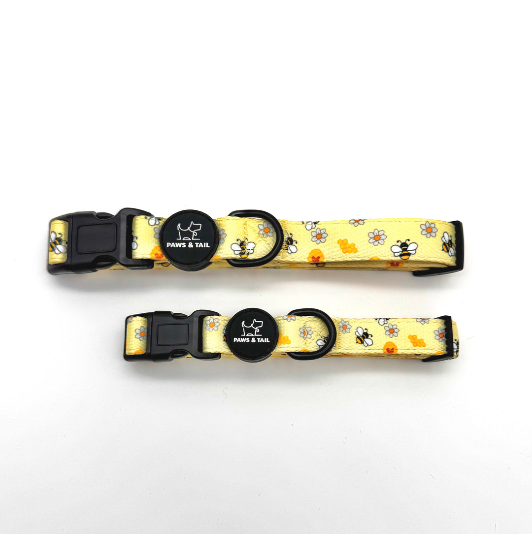 Bee Happy Collar Set