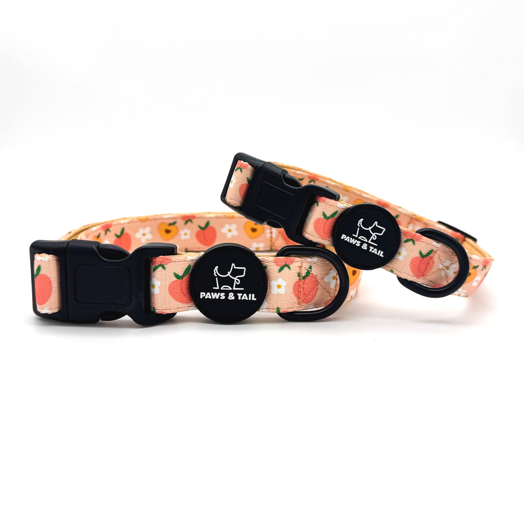 Peachy Bloom Collar Set