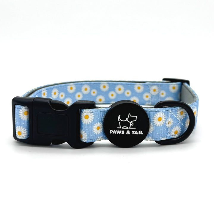 Daisy Daze Collar