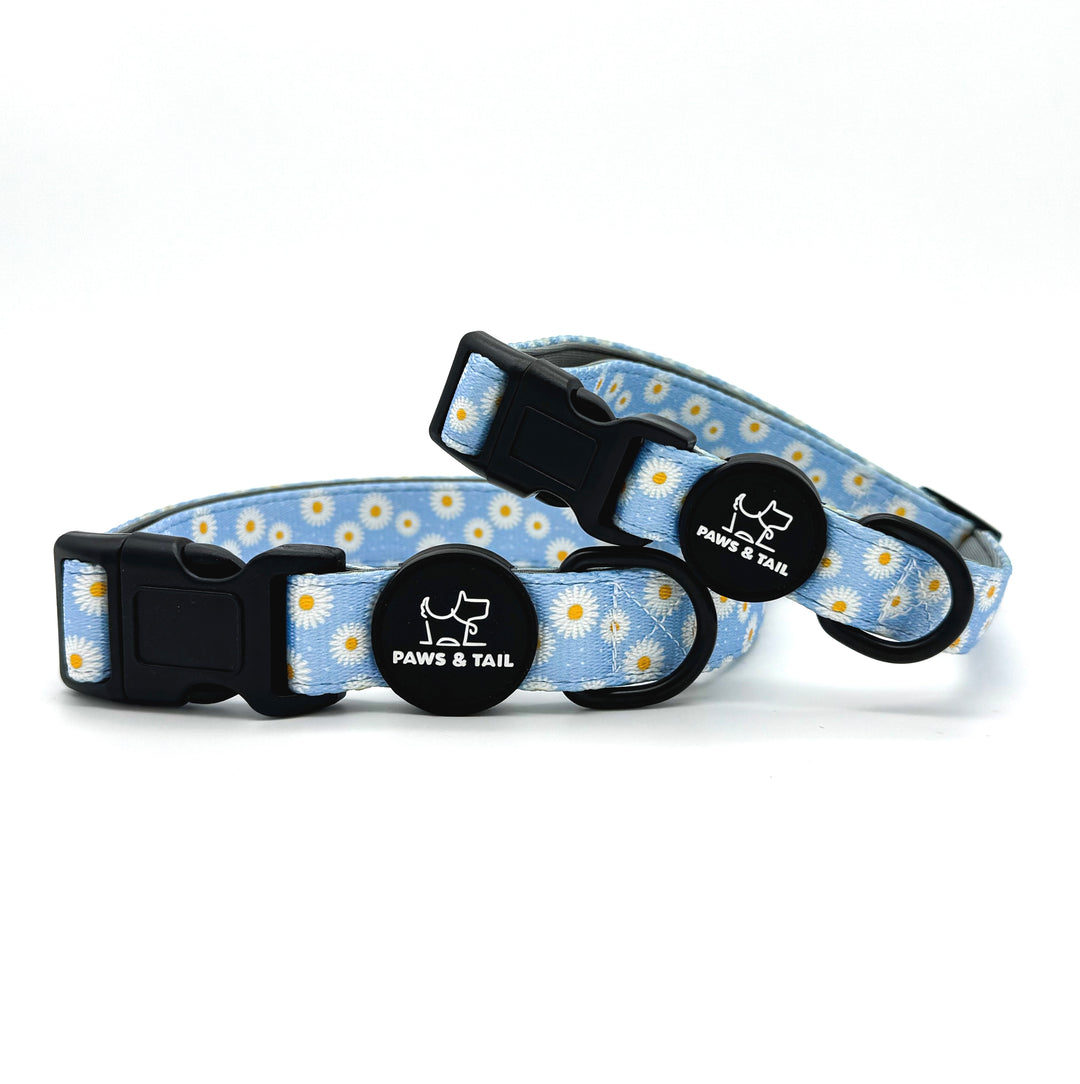 Daisy Daze Collar