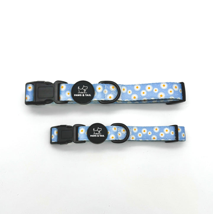 Daisy Daze Collar Set