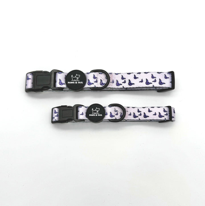Violet Wings Collar