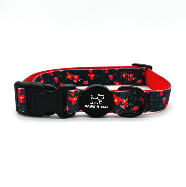 Rosé Reverie Collar Set