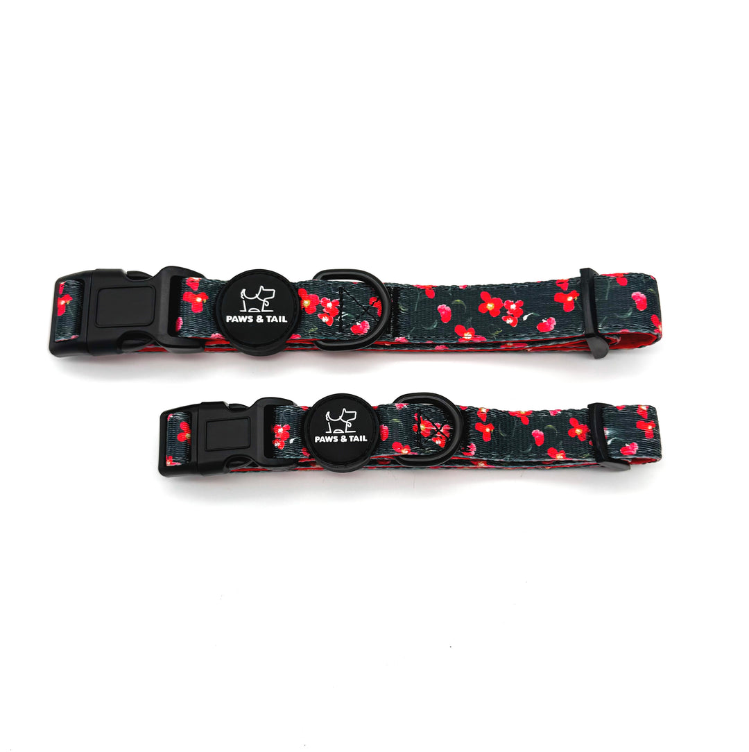 Rosé Reverie Collar