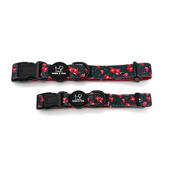 Rosé Reverie Collar