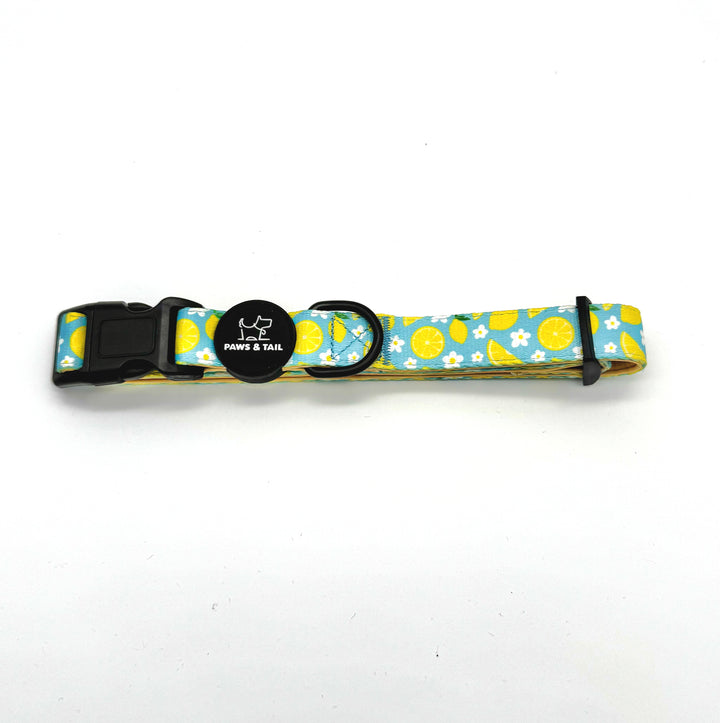 Sunny Citrus Bloom Collar