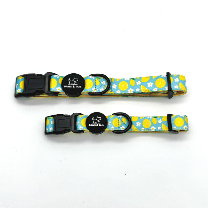 Sunny Citrus Bloom 6 Piece Kit