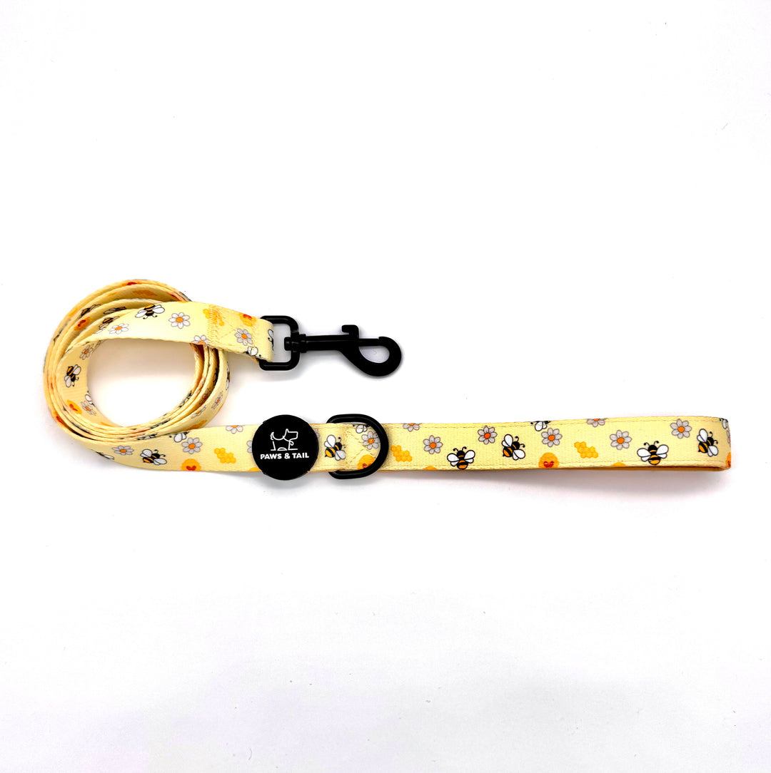 Bee Happy Harness Walk Set