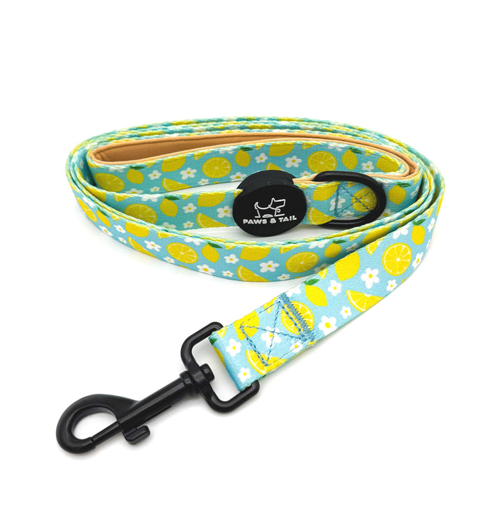 Sunny Citrus Bloom Collar Set