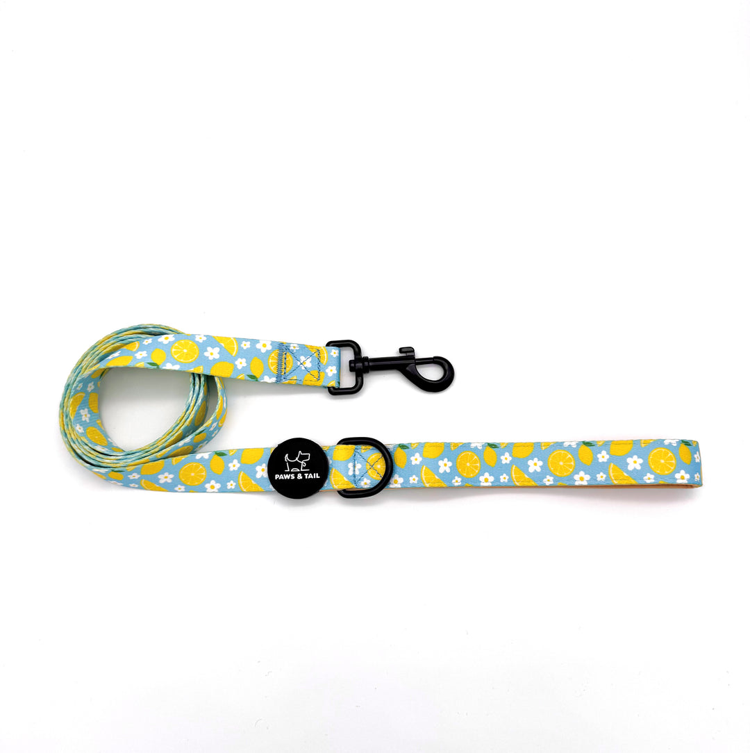 Sunny Citrus Bloom Collar Set