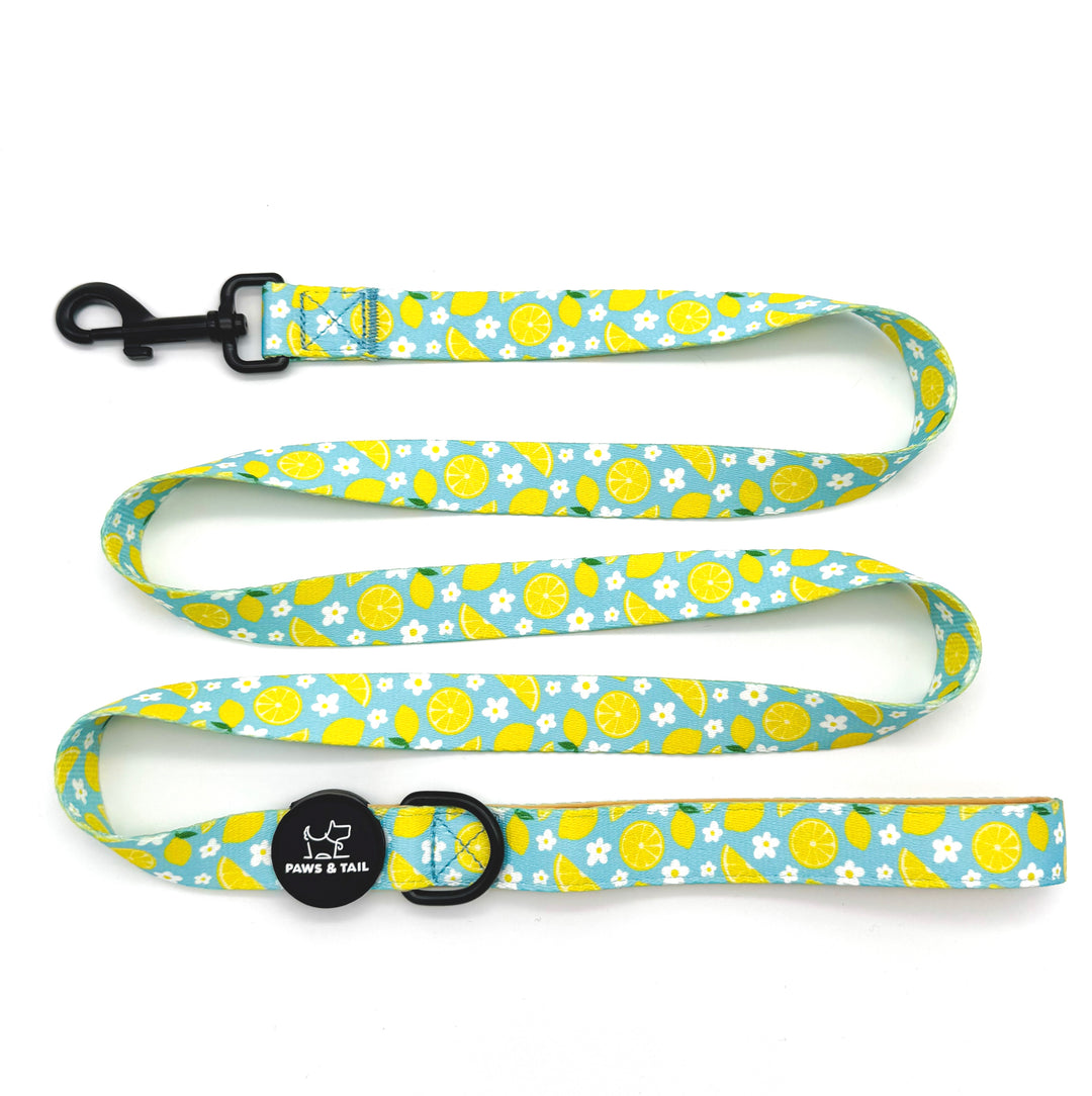 Sunny Citrus Bloom Harness Walk Set