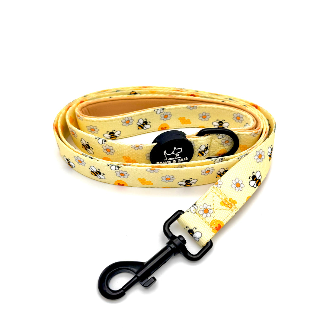 Bee Happy Collar Set