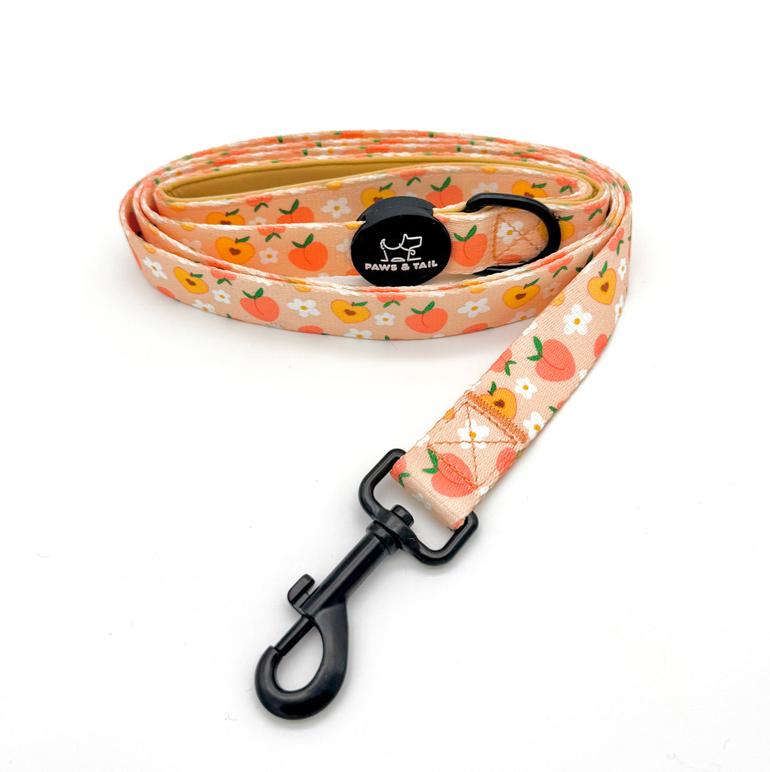 Peachy Bloom Collar Set