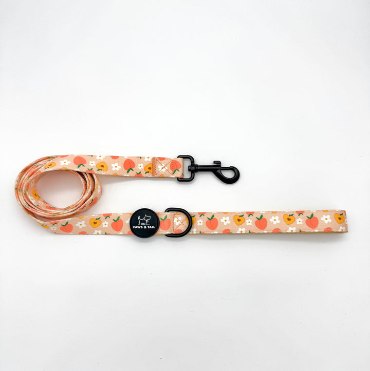 Peachy Bloom Collar Set