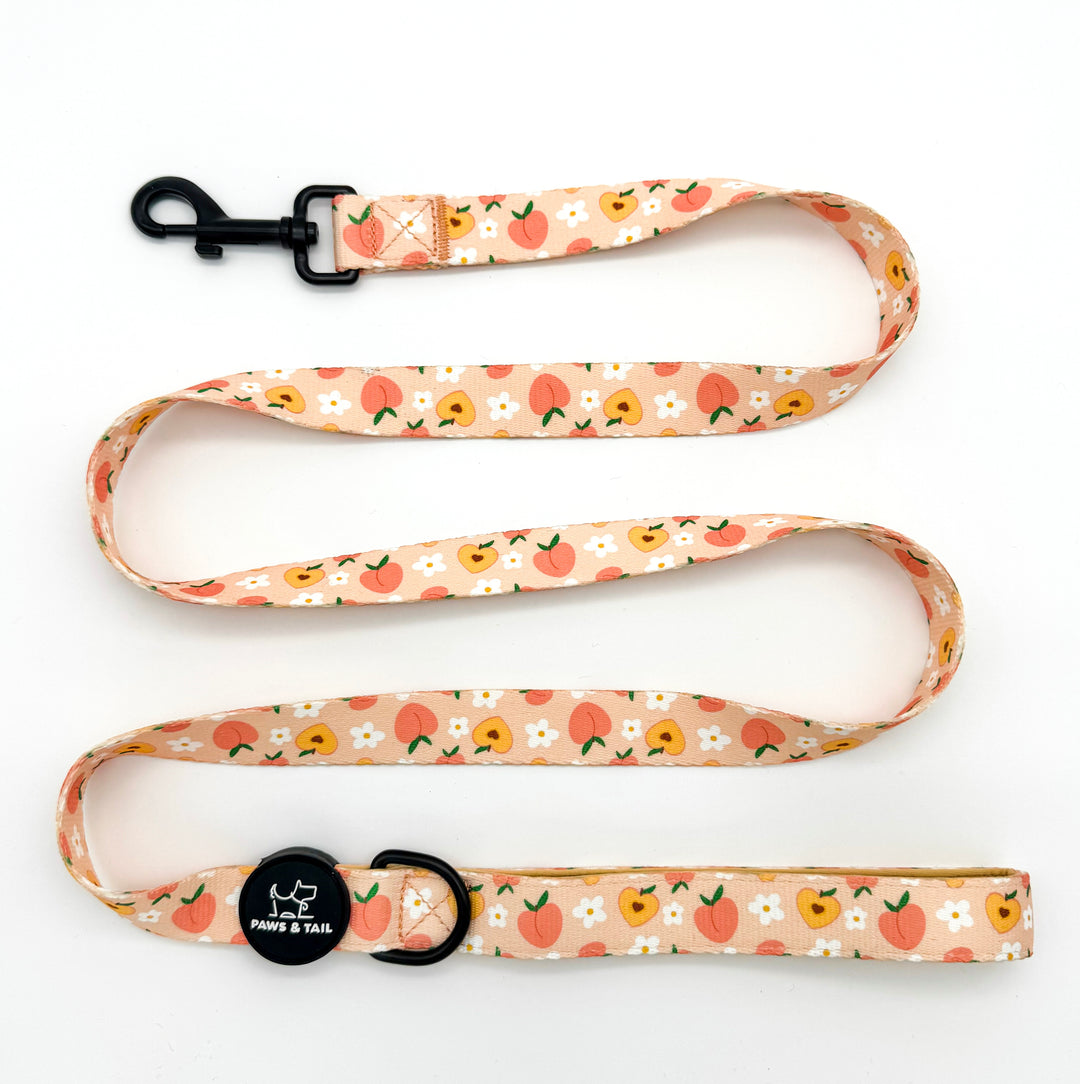 Peachy Bloom Harness Walk Set
