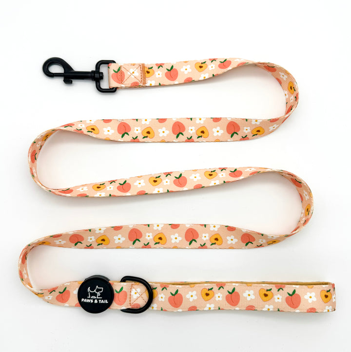 Peachy Bloom Harness Walk Set
