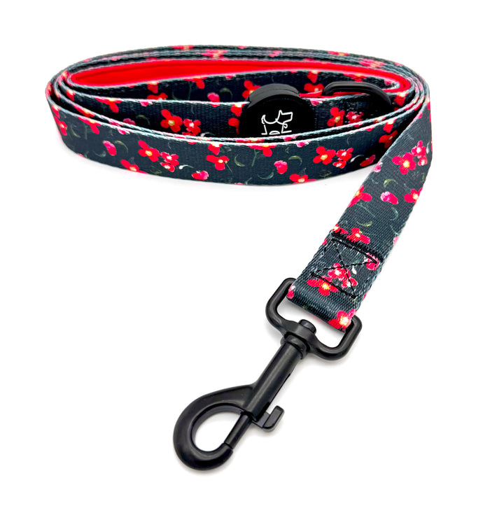Rosé Reverie Harness Walk Set