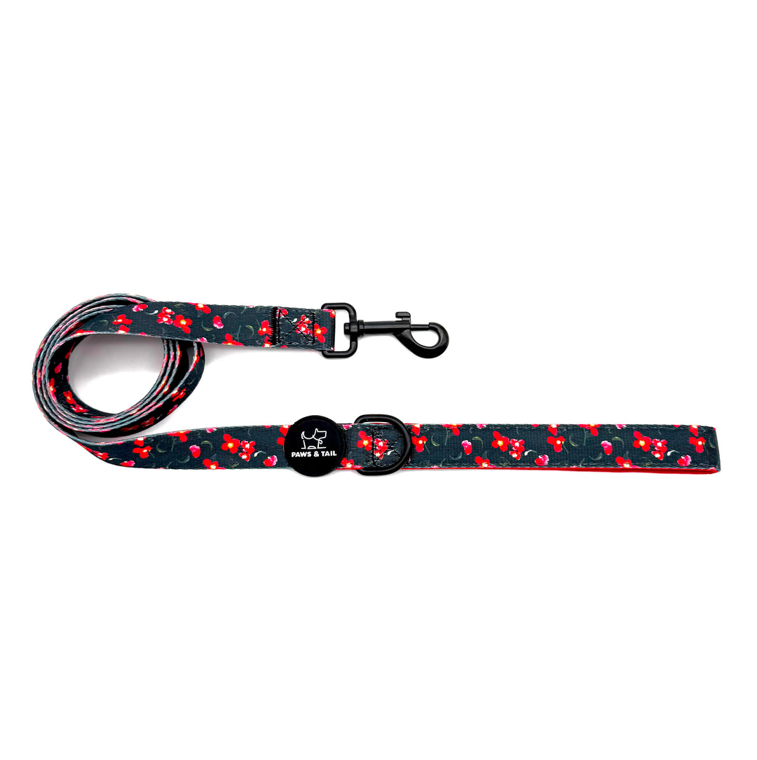 Rosé Reverie Harness Walk Set