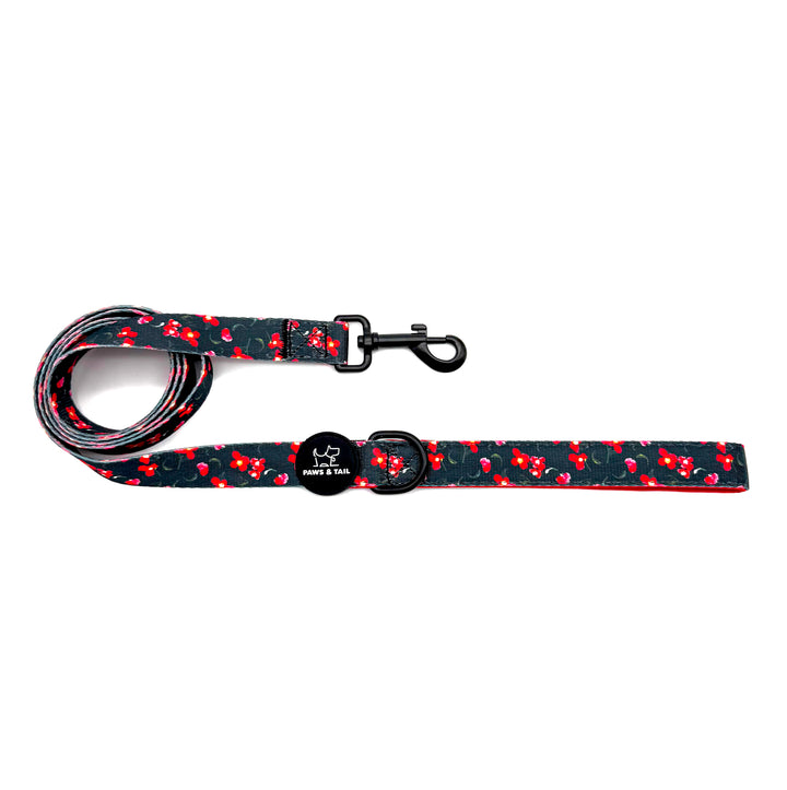 Rosé Reverie Harness Walk Set