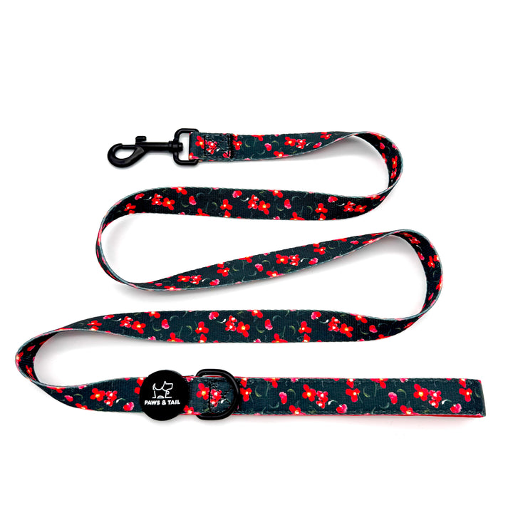 Rosé Reverie Harness Walk Set