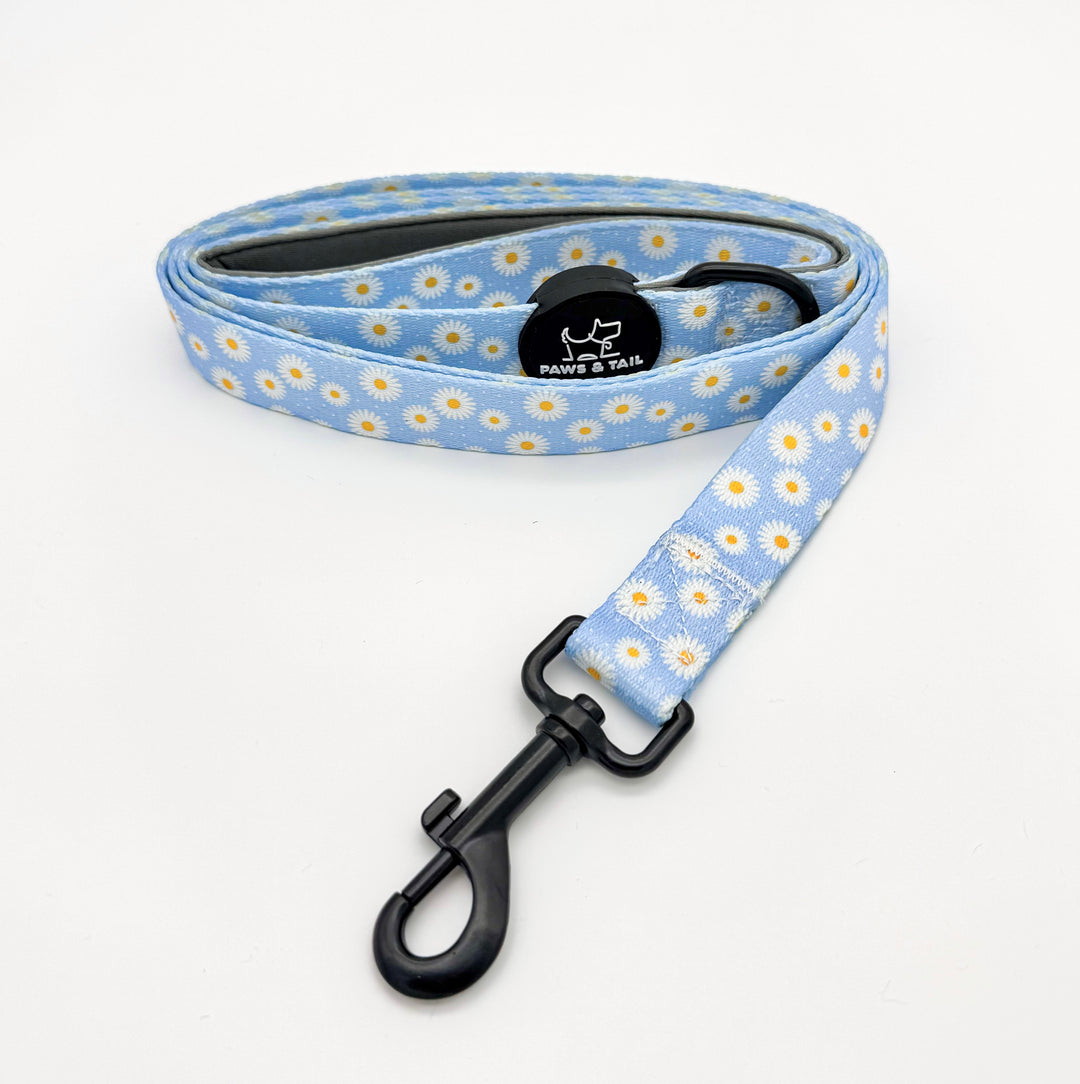 Daisy Daze Harness Walk Set
