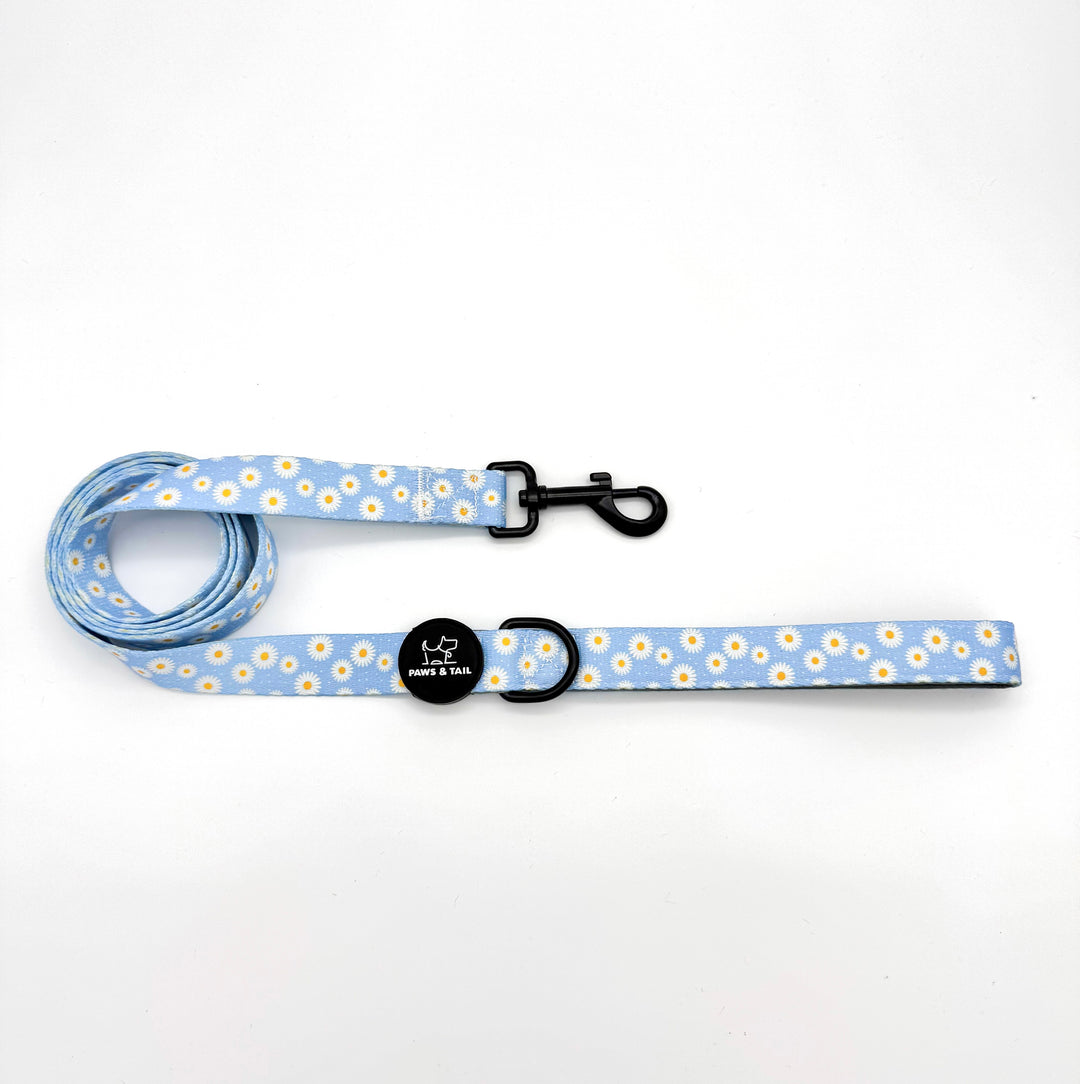 Daisy Daze Harness Walk Set